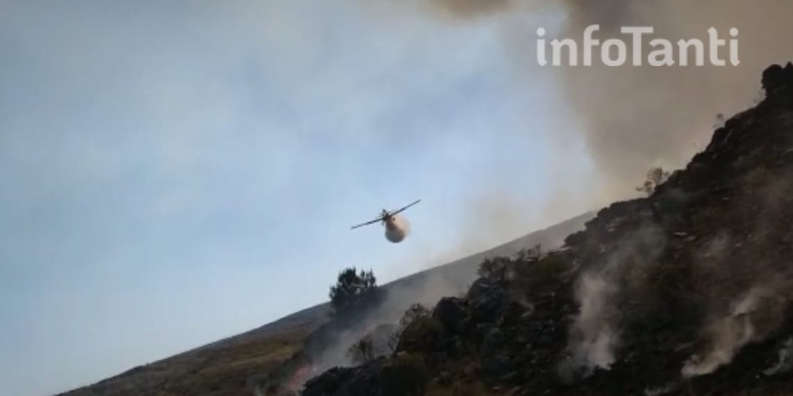 Los aviones hidrantes combatiendo el fuego en la zona de Los Gigantes